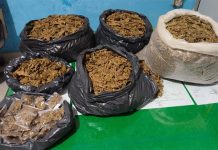 ८ किलो गाँजासहित एकजना पक्राउ